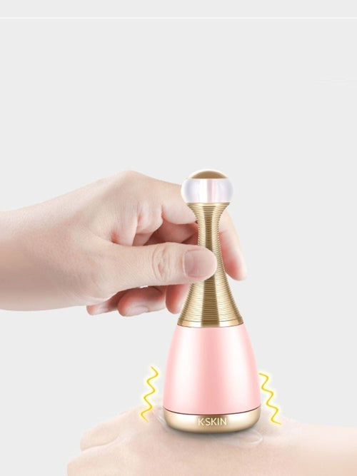 Facial Steamer Beauty Device